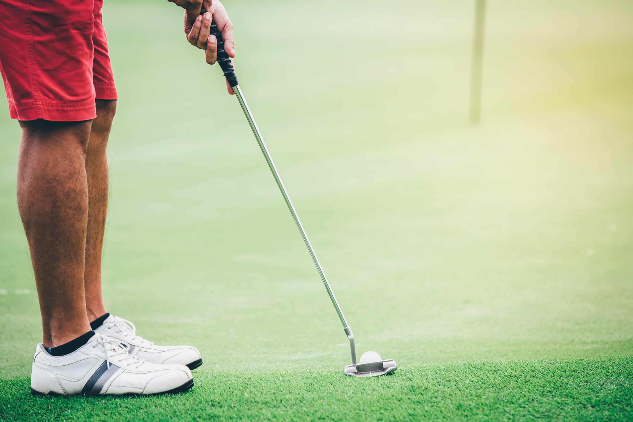 Short Putter vs Long Putter: Which one should I use? - Golf Journey 365
